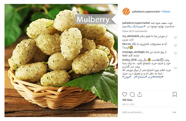 معرفی محصولات
