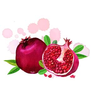 متن پیامک رسمی شب یلدا